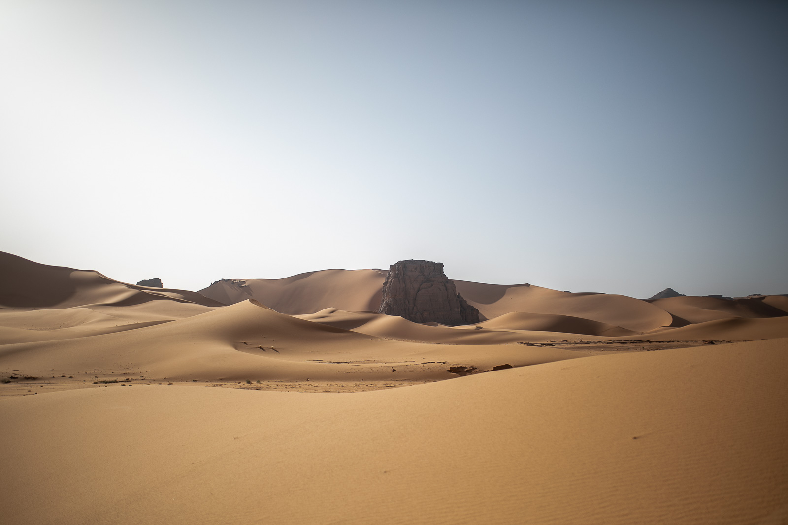 Human & Nature  outoftime 69